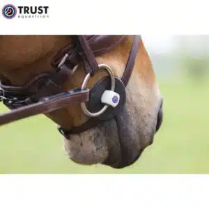 Anneaux libres TRUST Loose Ring E25111-E25112 Anneaux libres du mors TRUST Inno Sense Port Hard Slim