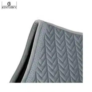 Kentucky Velvet Fishbone gris Cordelette pailletée