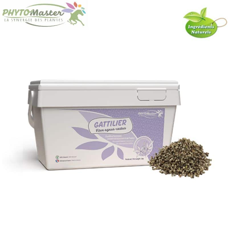Graines de GATTILIER cheval Phytomaster