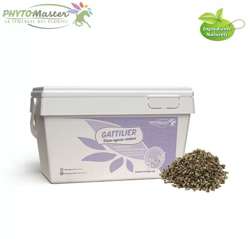 Graines de GATTILIER cheval Phytomaster