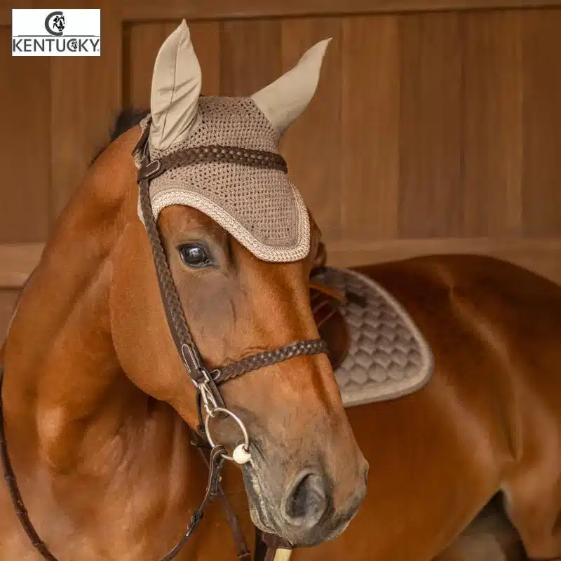Kentucky Wellington Plaited Glitter Rope – Beige porté onnet Kentucky Wellington Plaited Glitter Rope sur cheval