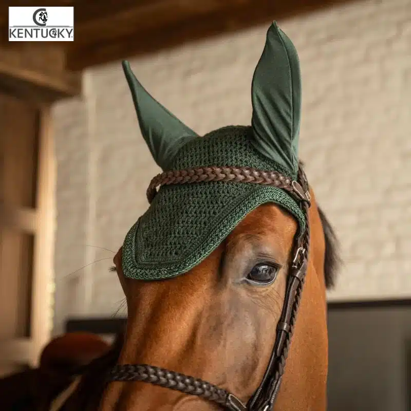 Kentucky Wellington Plaited Glitter Rope – Vert Bonnet Kentucky Wellington Plaited Glitter Rope vert foret