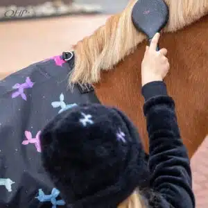 mise en situation du Set de pansage Isalyn QHP brosse à crins mise en situation du Set de pansage Isalyn QHP utilisée par une toute jeune cavalière