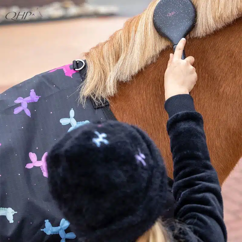 mise en situation du Set de pansage Isalyn QHP brosse à crins mise en situation du Set de pansage Isalyn QHP utilisée par une toute jeune cavalière