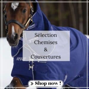 Cheval portant une couverture d’hiver, illustrant la catégorie chemises et couvertures pour chevaux