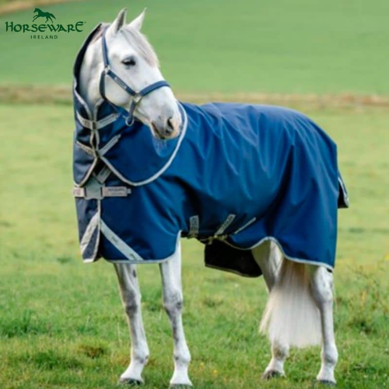 Cheval portant la couverture d’extérieur Horseware Amigo FieldSafe Plus 250 g bleu marine