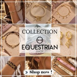 Photomontage de la nouvelle collection Equestrian Shop avec bijoux et accessoires équestres sur Equinoxe-Shop