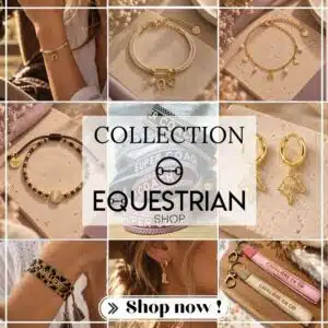 Nouvelle collection Equestrian Shop – Equinoxe-Shop Photomontage de la nouvelle collection Equestrian Shop avec bijoux et accessoires équestres sur Equinoxe-Shop