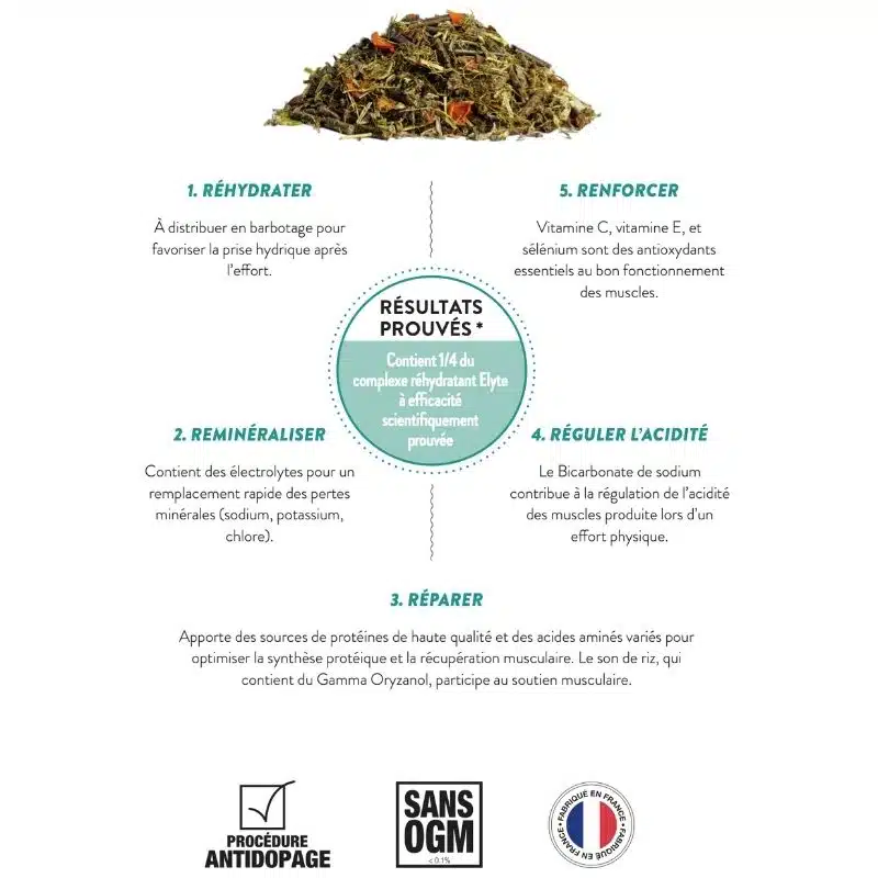 HYDRA FIBER MASH LAMBEY Mash réhydratant pour la récupération après l'effort Sellerie Equinoxe Shop